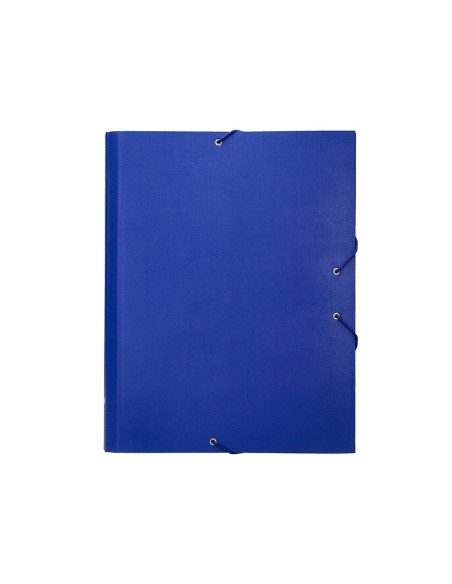 Carpeta clasificadora liderpapel 12 departamentos folio prolongado carton forrado azul
