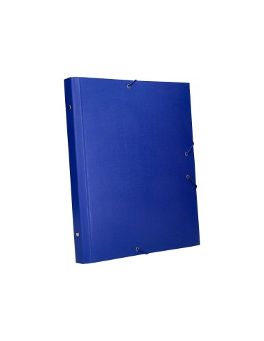 Carpeta clasificadora liderpapel 12 departamentos folio prolongado carton forrado azul