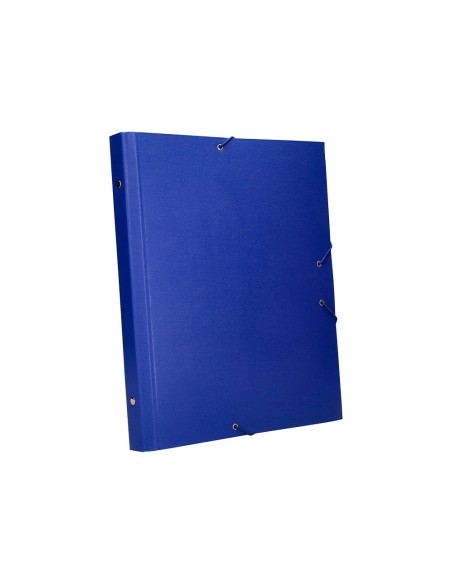 Carpeta clasificadora liderpapel 12 departamentos folio prolongado carton forrado azul