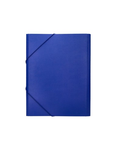 Carpeta clasificadora liderpapel 12 departamentos folio prolongado carton forrado azul