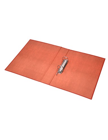 Carpeta de 2 anillas 25mm mixtas liderpapel folio carton cuero forrado compresor plastico