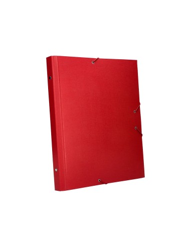 Carpeta clasificadora liderpapel 12 departamentos folio prolongado carton forrado roja
