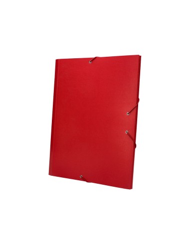 Carpeta clasificadora liderpapel 12 departamentos folio prolongado carton forrado roja