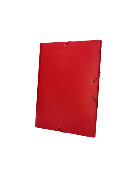 Carpeta clasificadora liderpapel 12 departamentos folio prolongado carton forrado roja