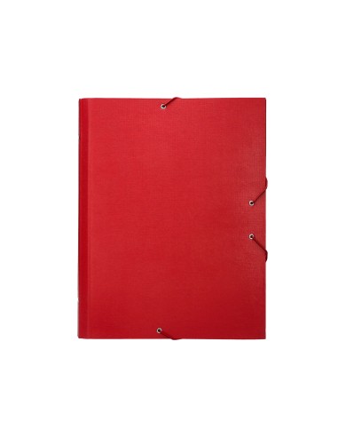 Carpeta clasificadora liderpapel 12 departamentos folio prolongado carton forrado roja