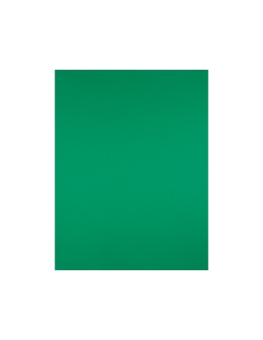 Cartulina liderpapel 50x65 cm verde navidad 180 gr unidad