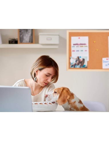 Pizarra corcho q connect 40x30 cm marco de madera