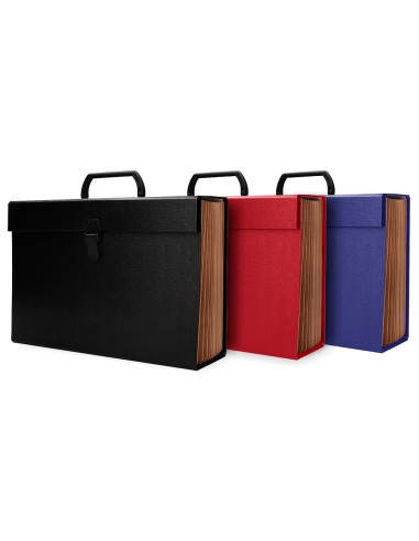 Maletin liderpapel con fuelle y asa carton forrado 19 departamentos 255x390x120 mm