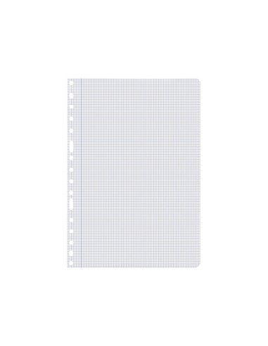 Recambio liderpapel a4 100 hojas 60g m2 cuadro 4 mm con margen 16 taladros