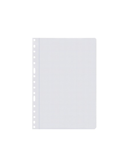 Recambio liderpapel a4 100 hojas 60g m2 cuadro 4 mm con margen 16 taladros