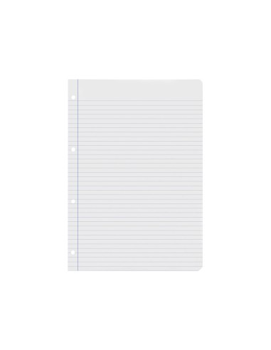 Recambio liderpapel a4 100 hojas 60g m2 horizontal con margen 4 taladros