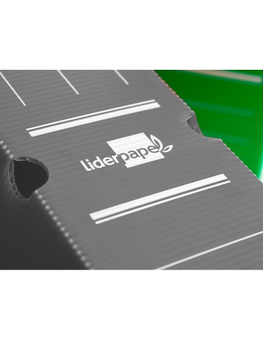 Caja archivo definitivo plastico liderpapel gris 387x275x105 mm