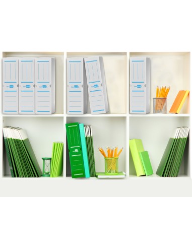 Caja archivo definitivo plastico liderpapel blanco 387x275x105 mm