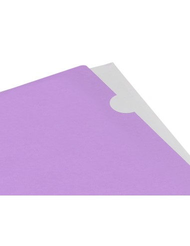Carpeta liderpapel dossier unero polipropileno din a4 lavanda opaco 20 hojas