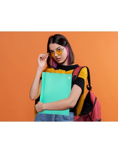 Carpeta liderpapel clasificador fuelle polipropileno din a4 verde opaco 13 departamentos