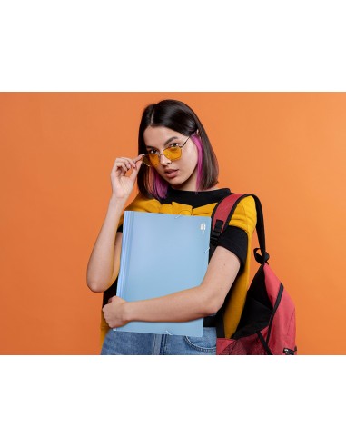 Carpeta liderpapel clasificador fuelle polipropileno din a4 celeste opaco 13 departamentos