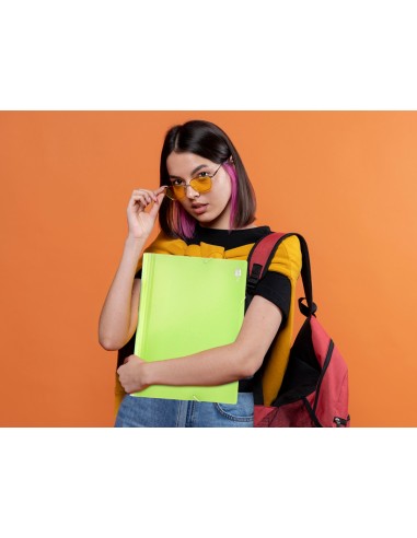 Carpeta liderpapel clasificador fuelle polipropileno din a4 amarillo fluor opaco 13 departamentos