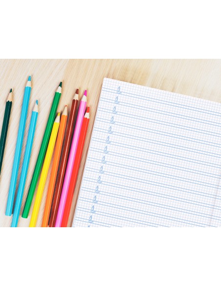 Libreta liderpapel pautaguia tapa cartoncillo 32 hojas din a4 70 gr cuadriculado pautado 4 mm