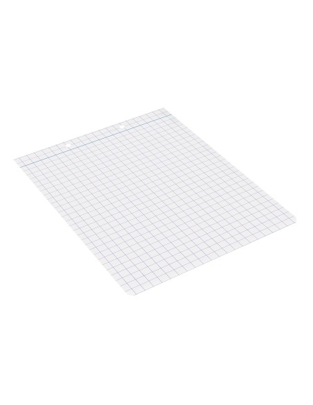 Recambio liderpapel cuarto apaisado 100 h 2tca 08 cuadro 8 mm 2 taladros con margen
