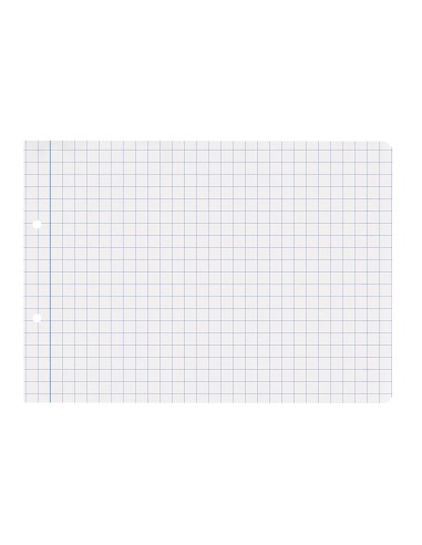 Recambio liderpapel cuarto apaisado 100 h 2tca 08 cuadro 8 mm 2 taladros con margen