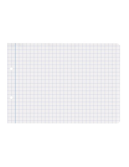 Recambio liderpapel cuarto apaisado 100 h 2tca 08 cuadro 8 mm 2 taladros con margen