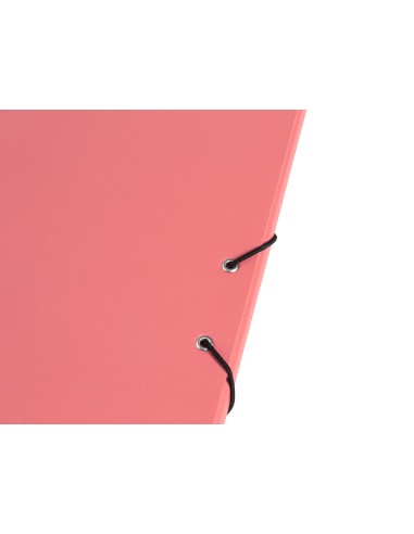 Carpeta antartik clasificadora a4 12 departamentos goma carton forrado color coral