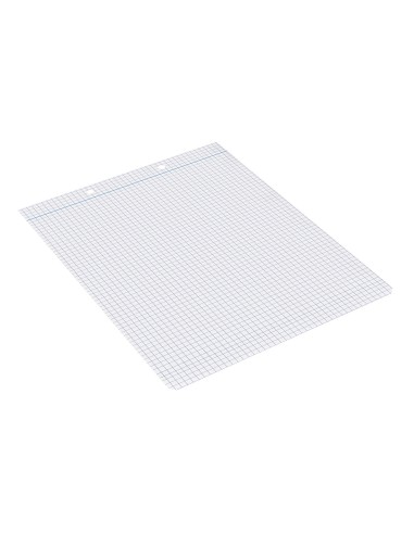 Recambio liderpapel cuarto apaisado 100 h 2tca 01 cuadro 4 mm 2 taladros con margen