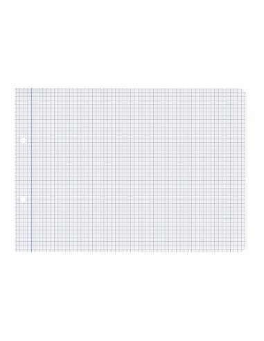 Recambio liderpapel cuarto apaisado 100 h 2tca 01 cuadro 4 mm 2 taladros con margen