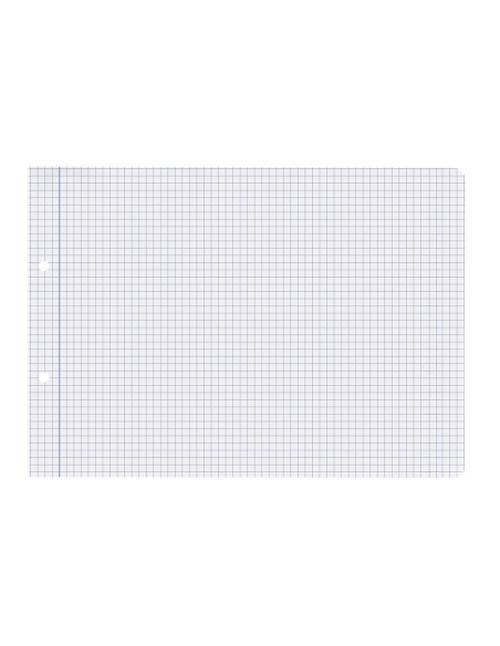 Recambio liderpapel cuarto apaisado 100 h 2tca 01 cuadro 4 mm 2 taladros con margen