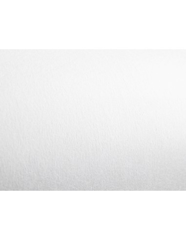 Tejido sin tejer liderpapel terileno 25 g m2 rollo de 5 mt blanco