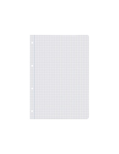 Recambio liderpapel a4 100 hojas 60g m2 cuadro 6 mm 4 taladros con margen
