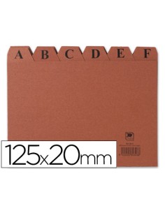 Indice fichero liderpapel carton nº4 125x200 mm