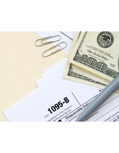 Clips liderpapel nº2 labiados 33 mm caja de 100 unidades