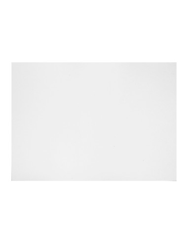 Carton gris nº 10 76x106 cm hoja