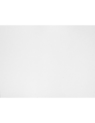 Carton gris nº 14 76x106 cm hoja