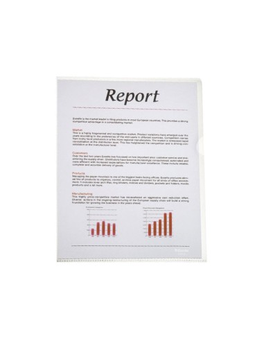 Carpeta dossier unero plastico esselte folio translucidoo