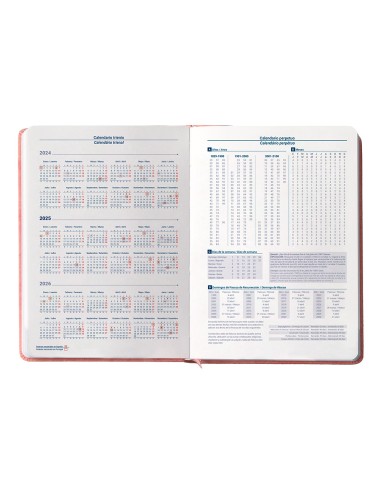 Agenda encuadernada liderpapel anafi a5 2025 dia pagina color rosa papel 70 gr