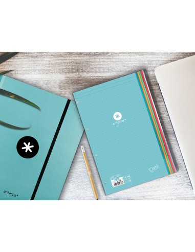 Recambio liderpapel antartik dots a4 100 hojas 90g m2 rayado puntos 4 taladros bandas de 5 colores
