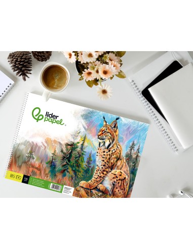 Bloc dibujo liderpapel artistico natura espiral 230x325mm 20 hojas 130g m2 sin recuadro perforado