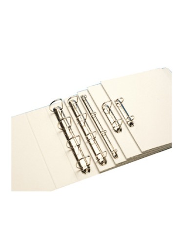 Carpeta canguro esselte basica 4 anillas mixtas 40 mm din a4 plastico color blanco