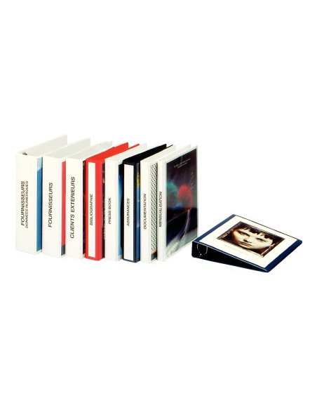 Carpeta canguro esselte basica 4 anillas mixtas 25 mm din a4 plastico color blanco