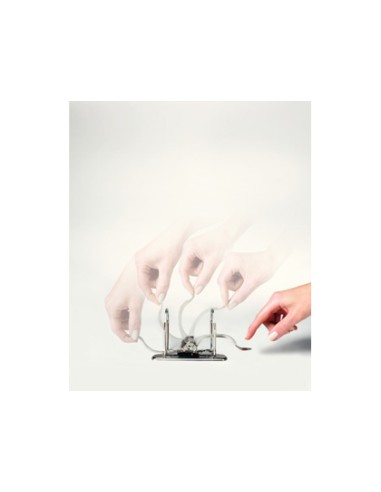 Archivador de palanca leitz maxi 180 din a4 maxi polipropileno lomo 75 mm color blanco