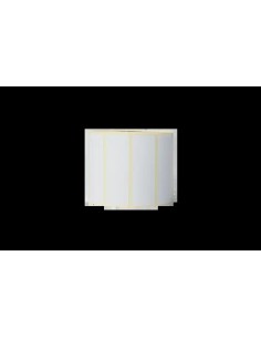 Brother Pack de 8 Rollos de Etiquetas Precortadas de...