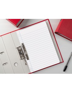 Recambio liderpapel a4 100 hojas 100g m2 pauta 4 35mm con margen 4 taladros