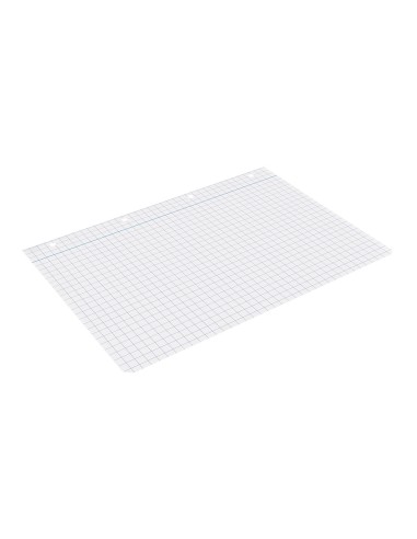 Recambio liderpapel din a4 100 hojas 75 gr cuadro 8 mm con margen 4 taladros