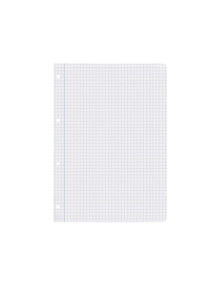 Recambio liderpapel din a4 100 hojas 75 gr cuadro 6 mm 4 taladros con margen