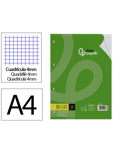 Recambio liderpapel din a4 100 hojas 75 gr cuadro 4 mm con margen 4 taladros