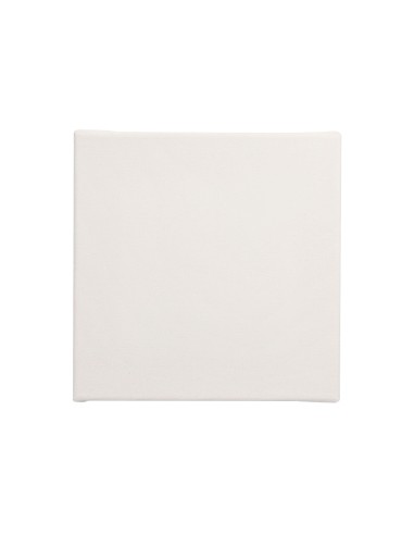 Bastidor lidercolor lienzo grapado lateral algodon 100 20x20 cm
