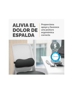 Cojin lumbar fellowes breyta acolchado color negro 170x350x60 mm