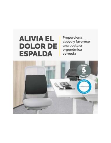Respaldo ergonomico fellowes lumbar acolchado breyta comfort color negro 330x380x90 mm